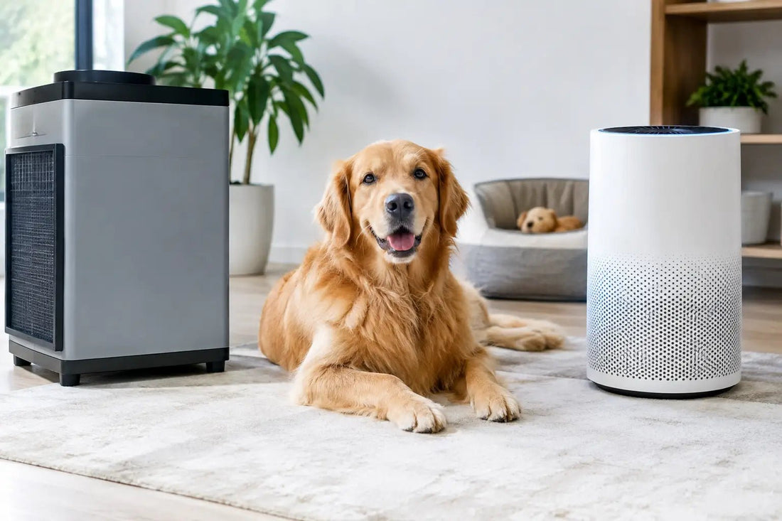 Air Scrubber vs Air Purifier for Dog Spaces