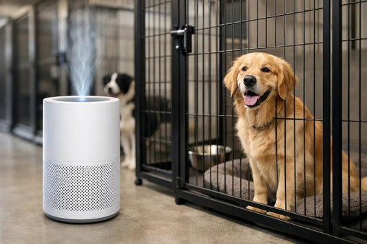 Best Air Purifier for Dog Kennel Use