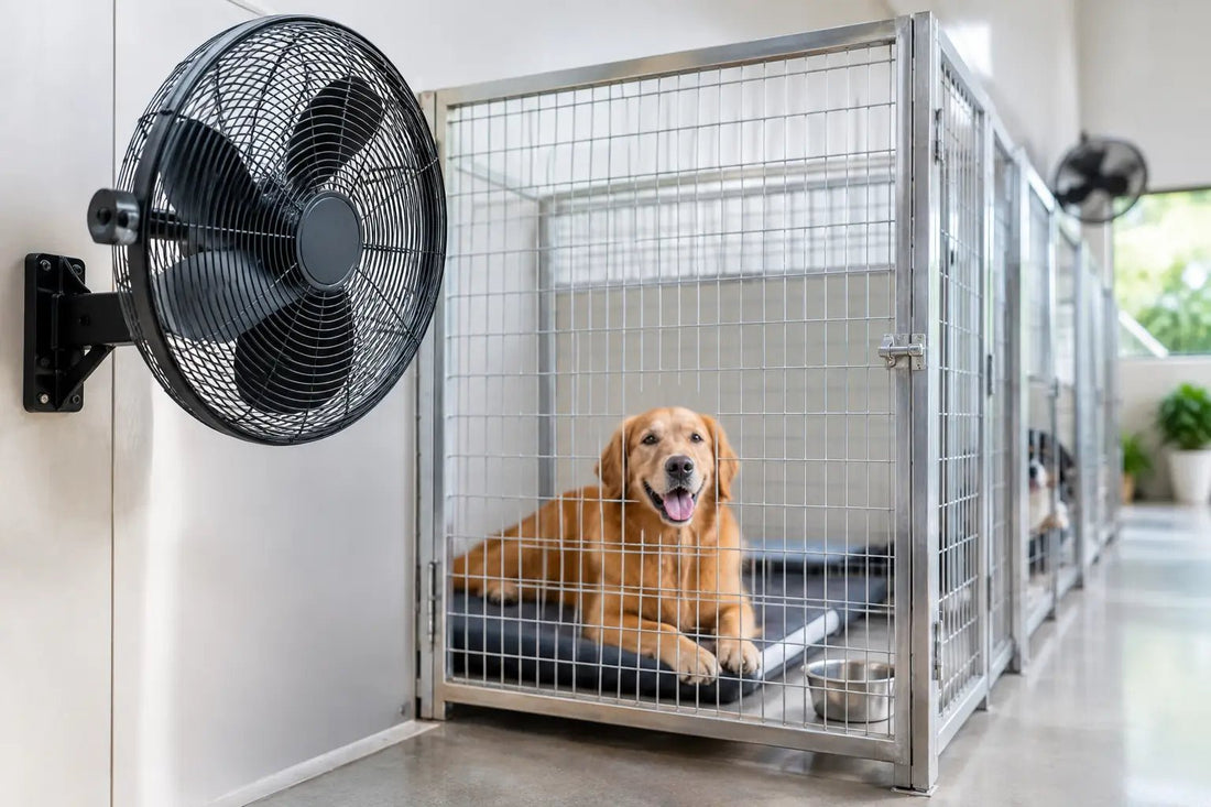 Best Kennel Fans for Cooler, Healthier Dog Spaces
