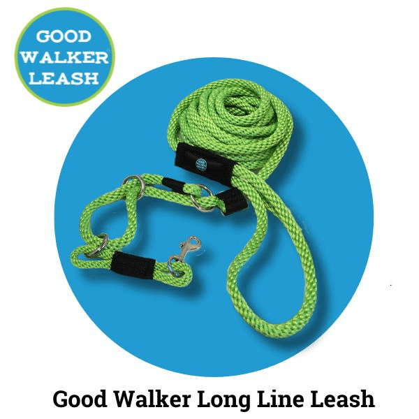 Advantages of the long line dog leash
