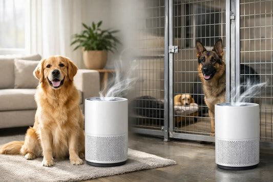 Do Dogs Need Air Purification at Home or Kennels?