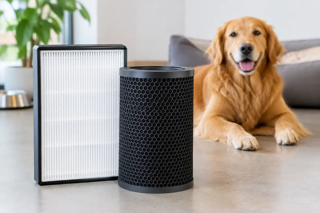 HEPA Versus Carbon: What Dog Facilities Need
