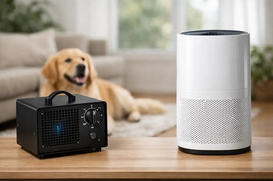 Ozone Generator Versus Air Purifier for Dog Spaces