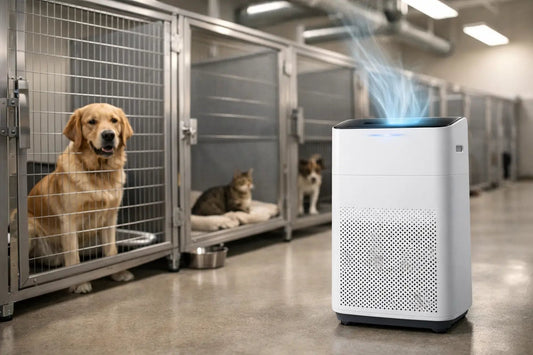 Pet Facility Air Purifier Review for Kennels