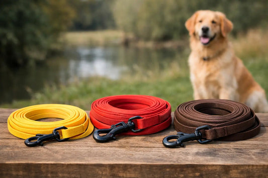 What Size Dog Long Line Should You Choose?