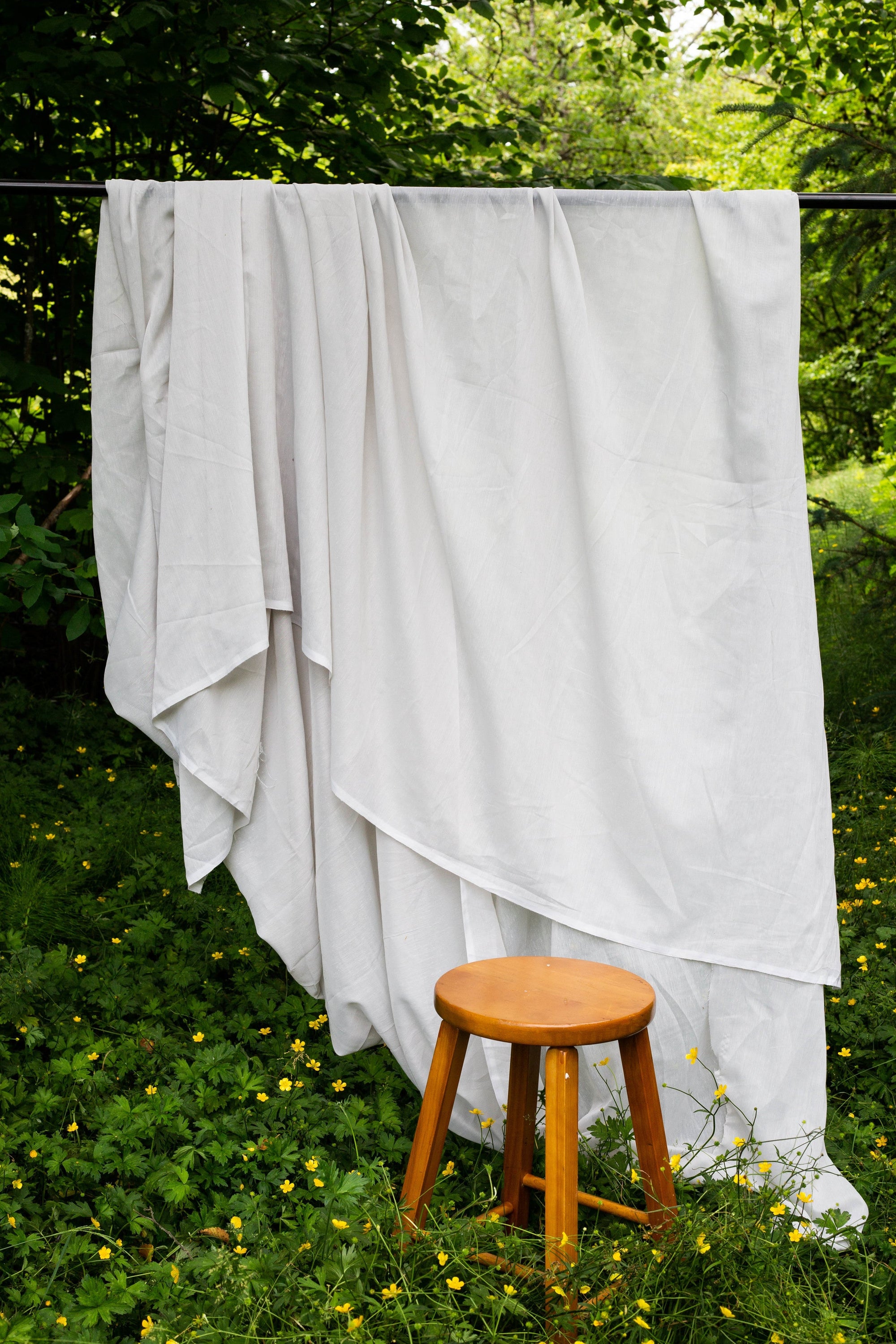 Laundry on the line