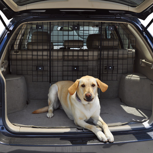 Win World Int'l Pet Barrier