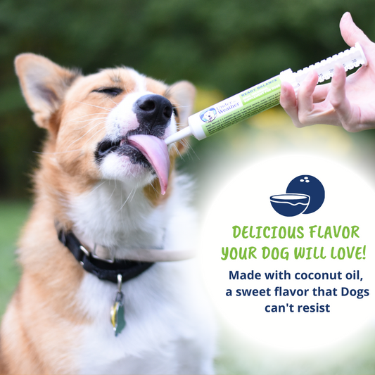 Ready Balance Oral Probiotic Gel for Dogs.