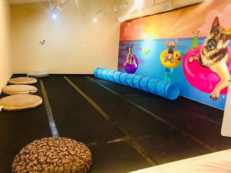 Rubber flooring at Sasha’s Pet Resort