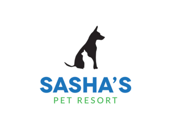 Sasha's logo large