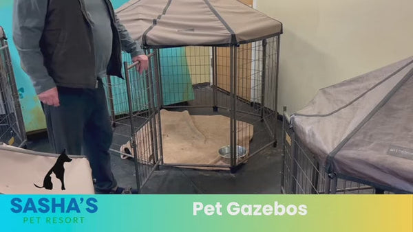 Owner at Sasha's Pet Resort discusses Pet Gazebos
