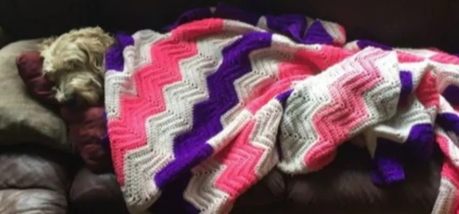 Golden doodle sleeping under colorful crocheted blanket