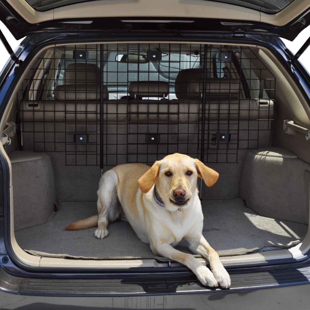 Win World Pet Barrier for Dogs - Maximum Safety and Comfort for Your Furry Friends