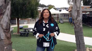 Durable Dog Leash for Comfortable and Secure Walks