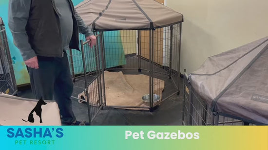 owner at Sasha's Pet Resort discusses Pet Gazebos