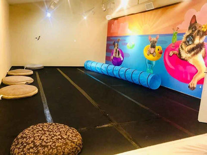 Rubber flooring at Sasha’s Pet Resort