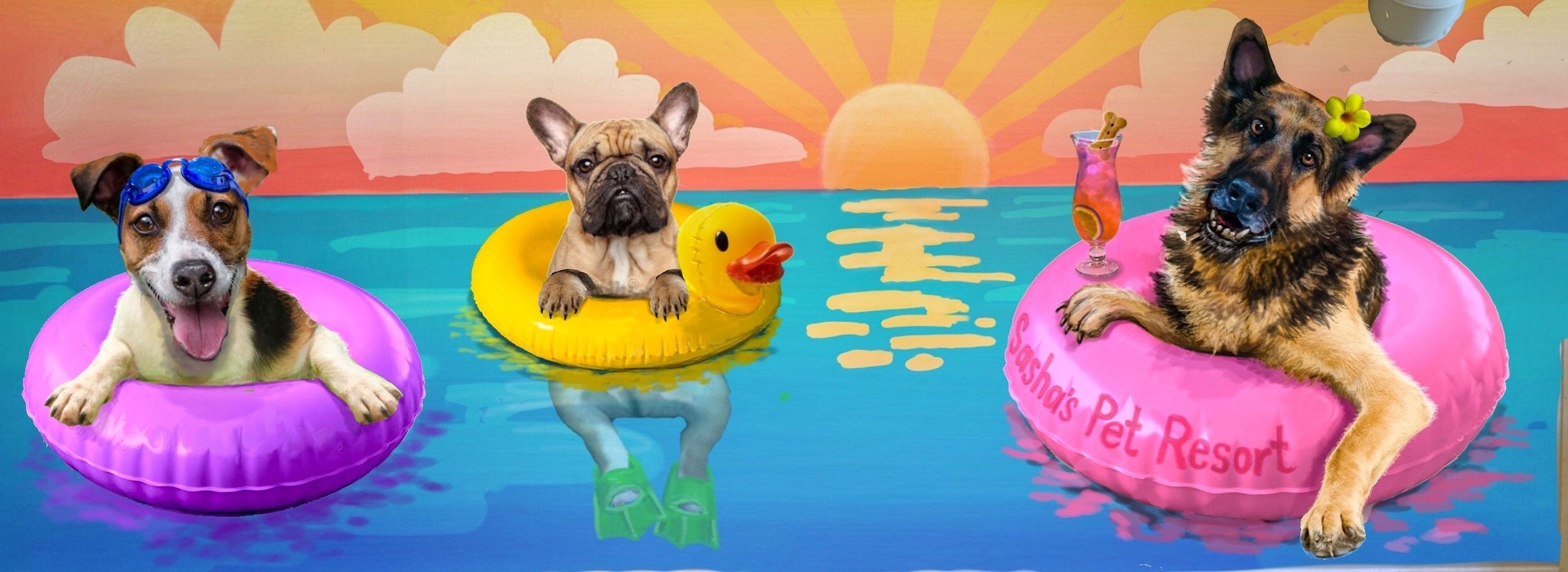 Sasha and friends bathing